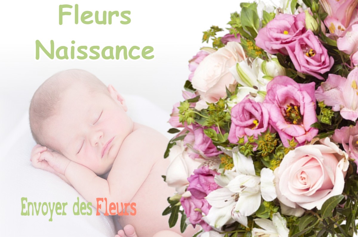 lIVRAISON FLEURS NAISSANCE à COUSANCES-LES-FORGES